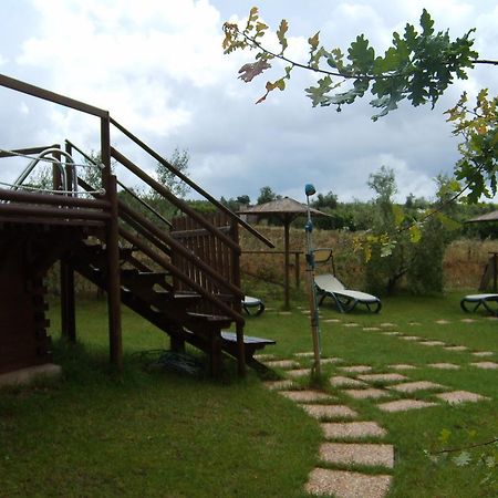 Agriturismo Il Forasacco 그레세토 외부 사진