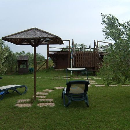 Agriturismo Il Forasacco 그레세토 외부 사진