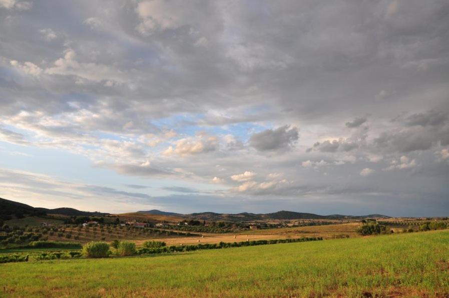 Agriturismo Il Forasacco 그레세토 외부 사진