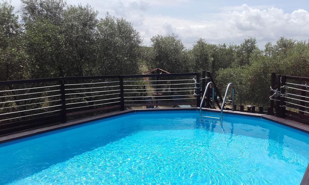Agriturismo Il Forasacco 그레세토 외부 사진