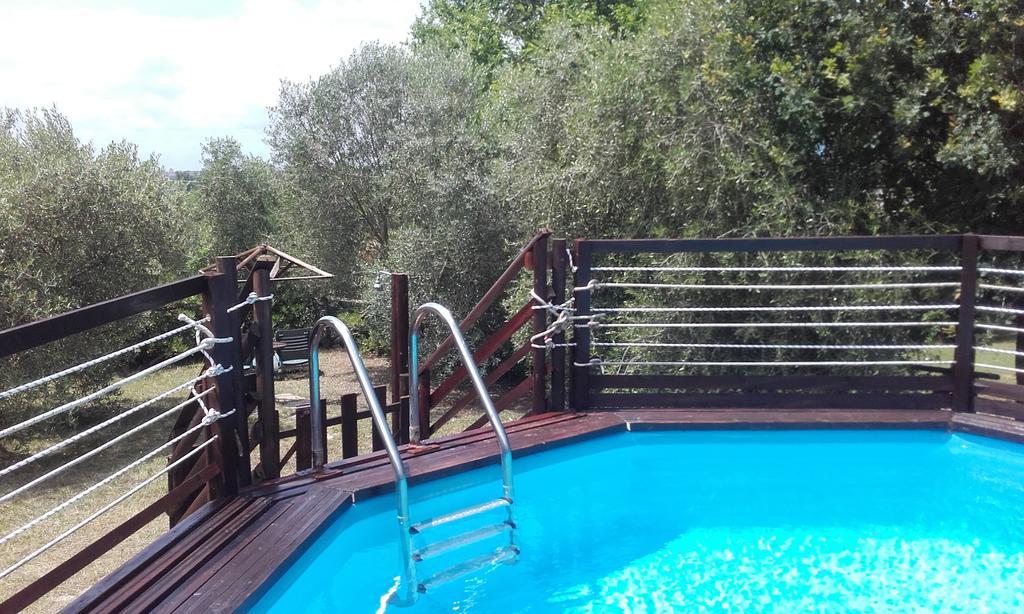 Agriturismo Il Forasacco 그레세토 외부 사진