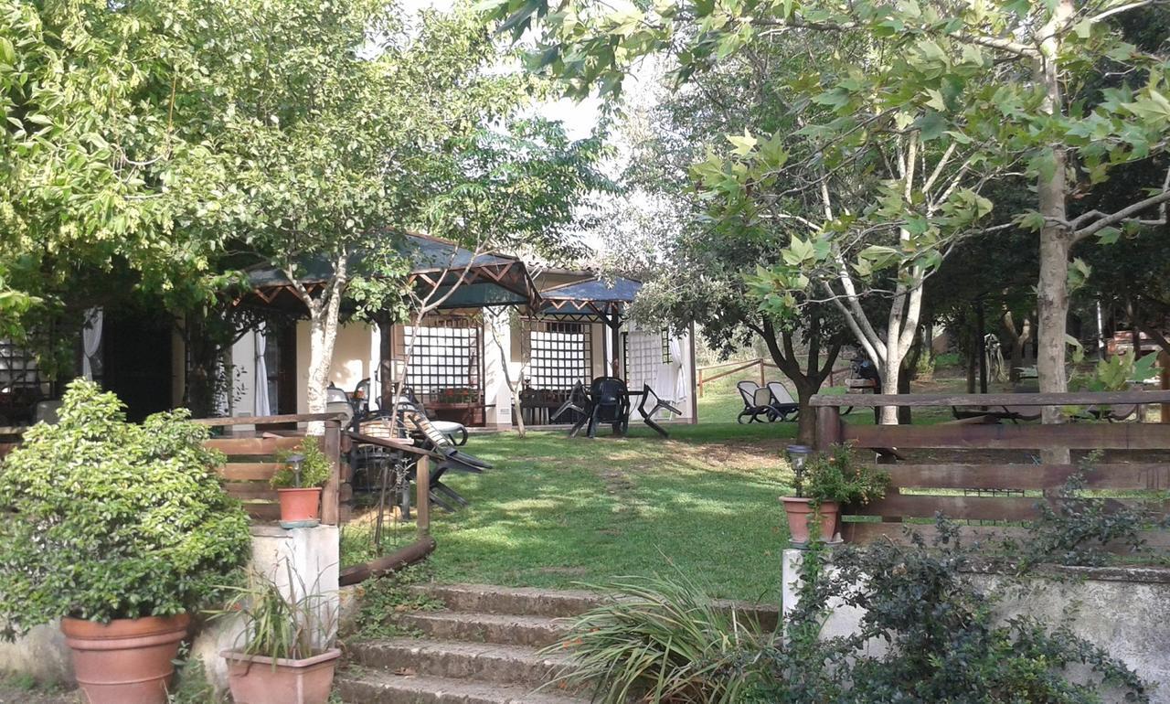 Agriturismo Il Forasacco 그레세토 외부 사진