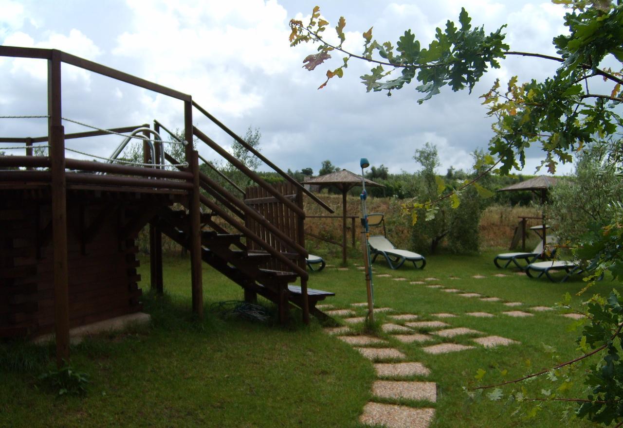 Agriturismo Il Forasacco 그레세토 외부 사진