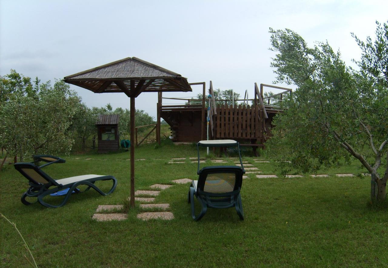 Agriturismo Il Forasacco 그레세토 외부 사진