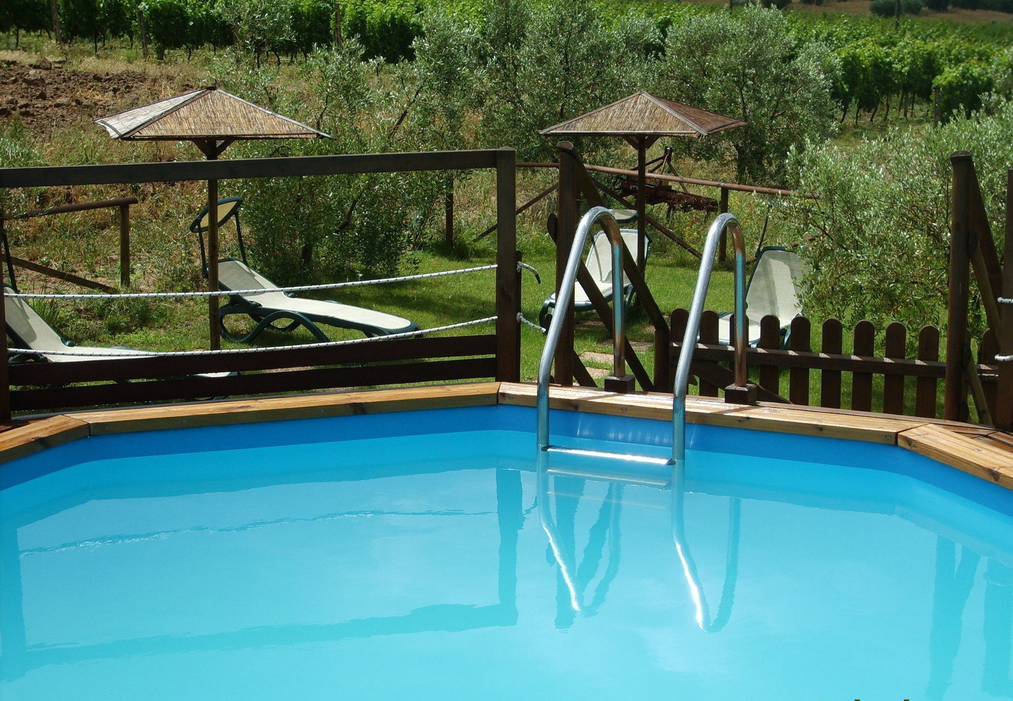 Agriturismo Il Forasacco 그레세토 외부 사진